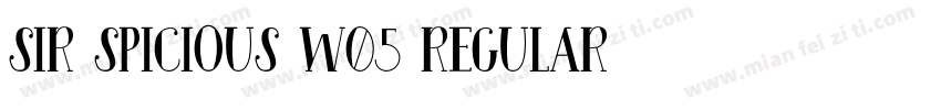 Sir Spicious W05 Regular字体转换